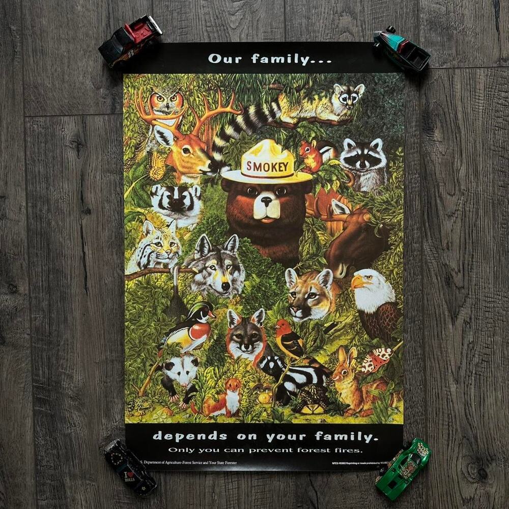 Vintage Original Smokey The Bear Wildlife Fire Prevention Nature Poster Print